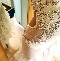 Biała bogato zdobiona sukienka z piórami